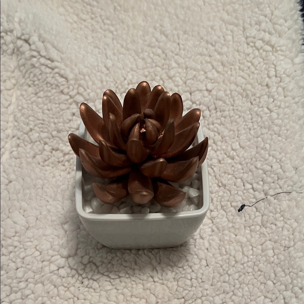 Copper Succulent Decorative Cactus Accent in White Planter